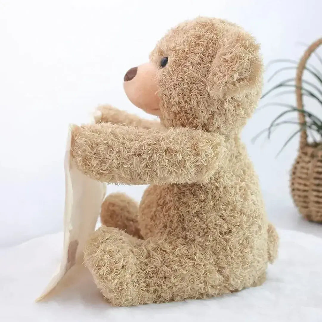 Hide & Seek Plush Bear