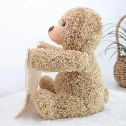 Hide & Seek Plush Bear