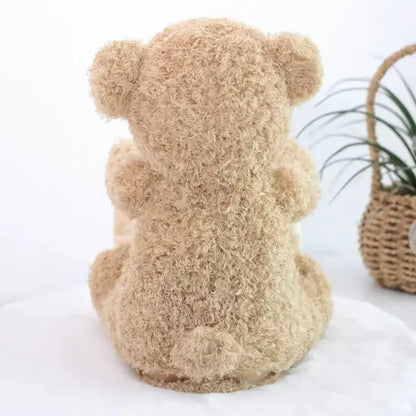 Hide & Seek Plush Bear